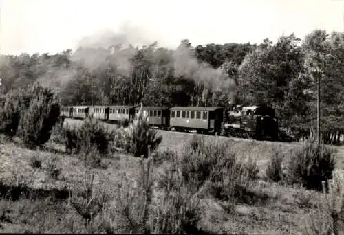 Ak Insel Rügen, Schmalspurbahn Rasender Roland, Personenzug zwischen Garftitz und Sellin