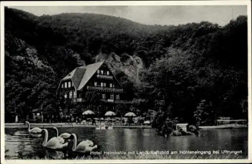 Ak Uftrungen bei Stolberg, Hotel Heimkehle, Schwäne