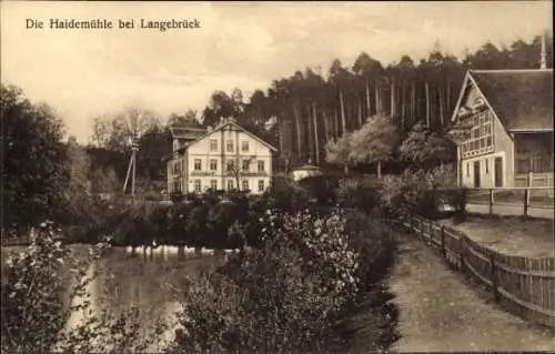 Ak Dresden Langebrück, Haidemühle, Wald