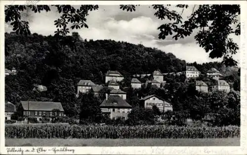 Ak Dresden Nordost Pillnitz, Hausberg, Wohnhäuser, Panorama vom Ort