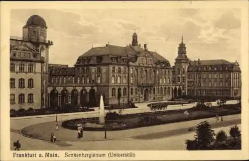 Ak Frankfurt am Main, Blick auf das Senkenbergianum