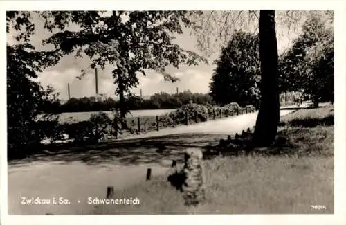 Ak Zwickau in Sachsen, Uferweg am Schwanenteich