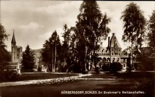 Ak Sokołowsko Görbersdorf Schlesien, Dr. Brehmers Heilanstalten