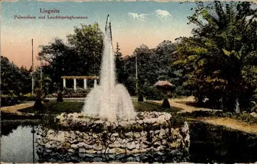 Ak Legnica Liegnitz Schlesien, Palmenhain, Leuchtspringbrunnen