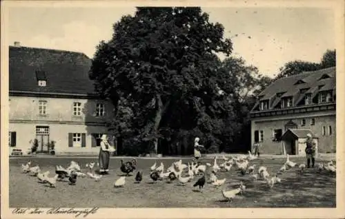 Ak Kloster Lehnin in Brandenburg, an der Kleintierzucht