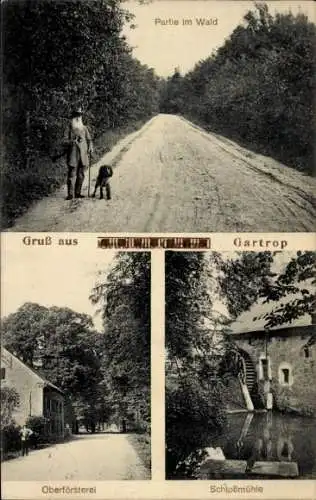 Ak Gartrop Hünxe am Niederrhein, Wald, Oberförsterei, Schloßmühle