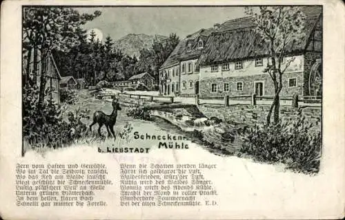 Mondschein Litho Schneckenmühle Liebstadt Erzgebirge Sachsen, Gedicht, Rehbock