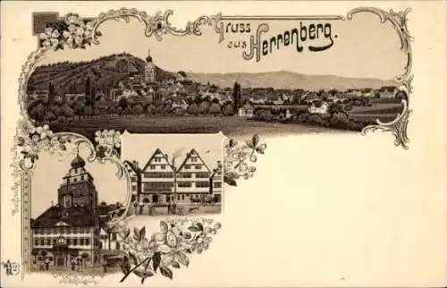 Litho Herrenberg in Baden Württemberg, Rathaus, Kirche, Schlossberg, Gasthof zur Post