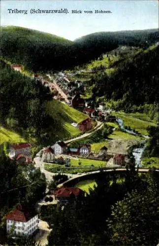 Ak Triberg im Schwarzwald, Blick vom Hohnen ins Tal