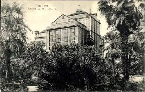 Ak Herrenhausen Hannover in Niedersachsen, Blick auf das Palmenhaus