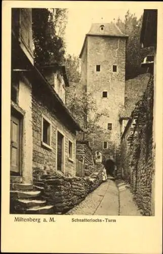 Ak Miltenberg am Main Unterfranken, Schnatterlochs-Turm