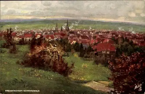 Künstler Ak Freudenstadt im Schwarzwald, Panorama