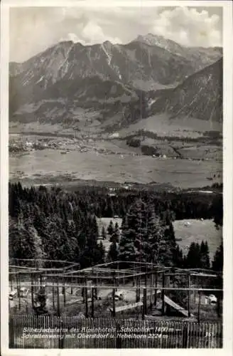 Ak Oberstdorf im Oberallgäu, Schrattenwang, Alpenhotel Schönblick, Silberfuchsfarm