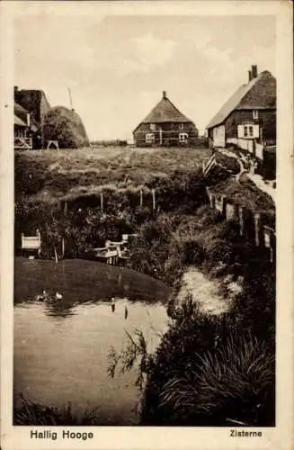 Ak Hallig Hooge in Nordfriesland, Zisterne, Häuser, Reetdächer