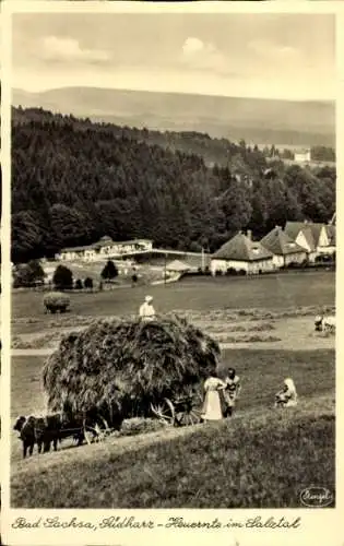 Ak Bad Sachsa im Harz, Heuernte im Salztal