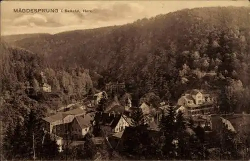 Ak Mägdesprung Harzgerode im Harz, Blick auf Ort und Umgebung