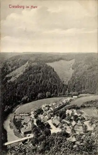 Ak Treseburg Harz, Aufnahme von oben vom Ort, Wälder