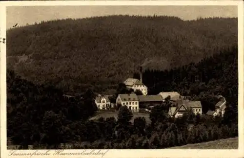 Ak Hammerleubsdorf Leubsdorf im Kreis Mittelsachsen, Waldlandschaft, Gasthof R. Baumann