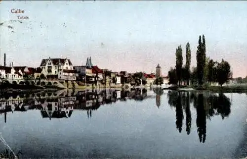 Ak Calbe Saale, Blick übers Wasser zum Ort, Totalansicht