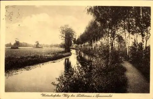 Ak Lübbenau im Spreewald, Wotschofskaweg, Birkenallee, Uferpartie