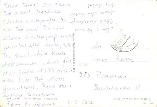 Ak Segelschulschiff Wilhelm Pieck, Urlauberschiff GTMS Fritz Heckert, Fährschiff Sassnitz