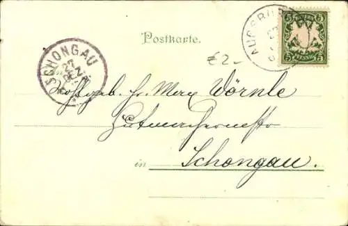 Litho Gemse mit Jungtier auf einem Felsbrocken im Gebirge