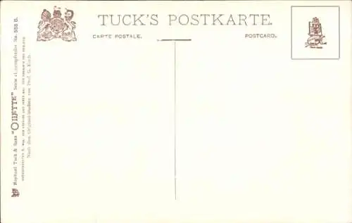 Künstler Ak Koch, G., Luxuspferde, Schimmel, Hunde