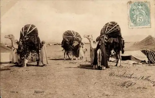 Ak Bassours, Kamele, Araber, Wüste, Maghreb