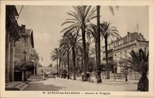 Ak Hyères les Palmiers Var, Avenue de Belgique