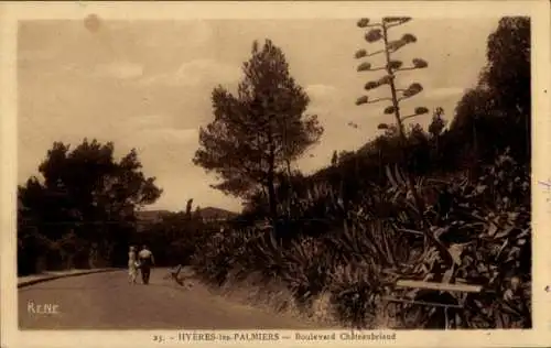 Ak Hyères les Palmiers Var, Boulevard Chateaubriand