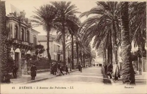 Ak Hyères Var, Avenue des Palmiers