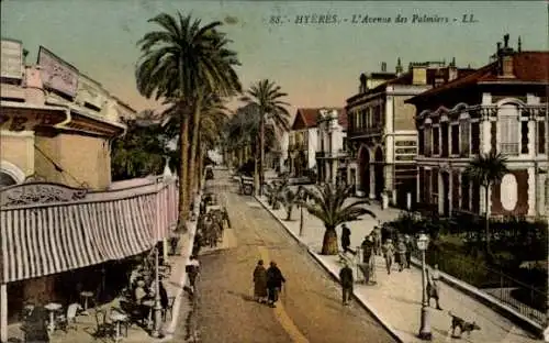 Ak Hyères Var, Avenue des Palmiers