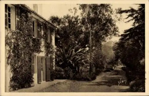 Ak Hyères Var, Porquerolles, Straße zum Plage d’Argent