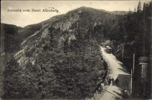 Ak Neubois Gereuth Elsass Bas Rhin, Hotel Altenberg, Schlucht