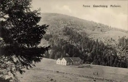 Ak Mühlbach in Münsterthal Muhlbach sur Munster Alsace Haut Rhin, Ferme Gaschney, Melkerei