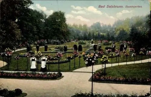 Ak Szczawno Zdrój Bad Salzbrunn Niederschlesien, Rosengarten