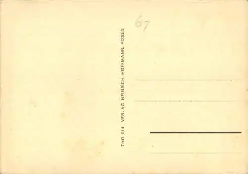 Ak Toruń Thorn Westpreußen, Partie an der Weichsel