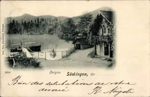 Ak Bad Säckingen am Hochrhein, Bergsee