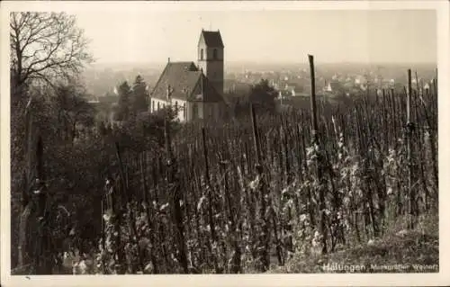 Foto Ak Haltingen Weil am Rhein, Gesamtansicht, Weinberg, Kirche