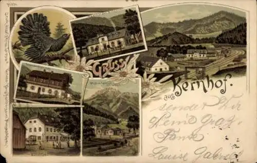 Litho Kernhof Niederösterreich, Gesamtansicht, Gasthäuser, Restaurant, Auerhahn