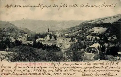 Ak Weidling Klosterneuburg in Niederösterreich, Panorama