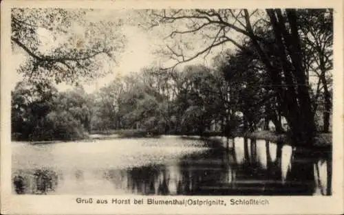 Ak Horst Blumenthal Heiligengrabe in der Prignitz, Schlossteich