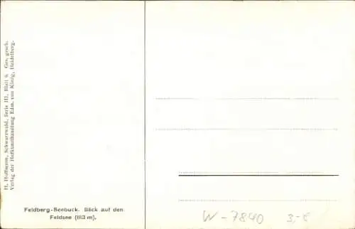Künstler Ak Hoffmann, H., Feldberg im Schwarzwald, Seebuck, Feldsee