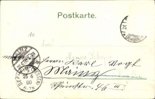 Ak Rüdesheim am Rhein, Niederwald Denkmal, Rheindampfer Overstolz