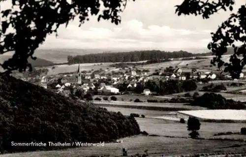 Ak Thalheim Dornburg im Westerwald, Blick auf Ortschaft und Umgebung