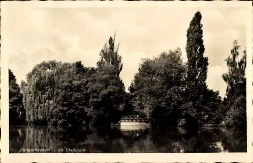 Ak Sangerhausen Sachsen Anhalt, Treppe am Ufer des Stadtparks