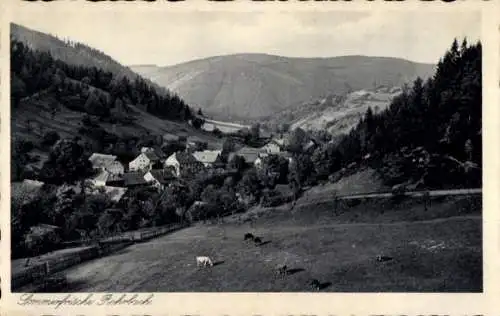 Ak Rohrbach in Thüringen, Panorama