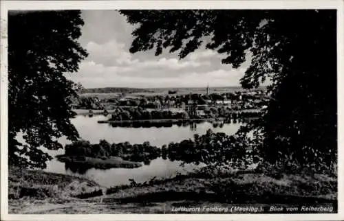 Ak Feldberg in Mecklenburg, Blick vom Reiherberg