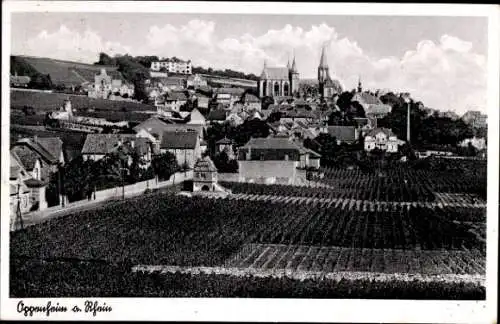 Ak Oppenheim am Oberrhein, Gesamtansicht