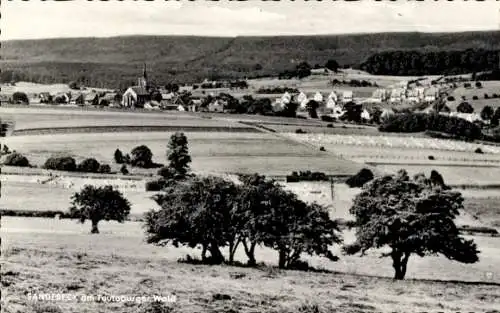 Ak Sandebeck Steinheim im Weserbergland, Hotel Teutoburger Wald, Wewer, Ort